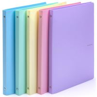 Pořadač A4 4-kroužkový 2cm Pastelini