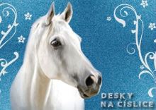 Zásobník na číslice - Junior - kůň